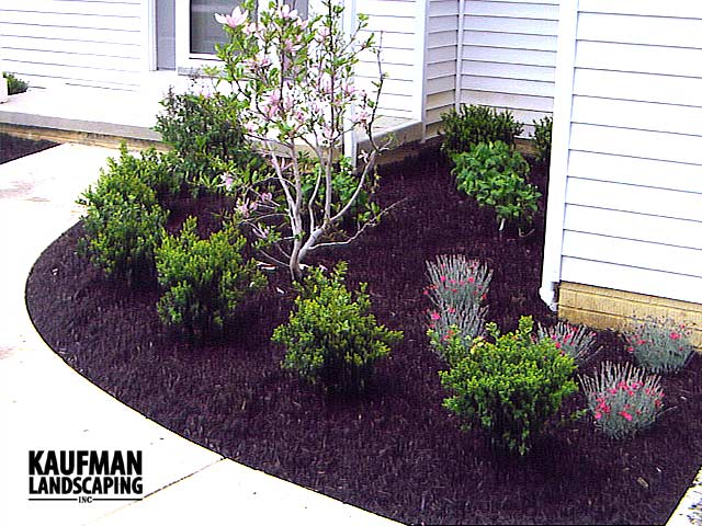 Lawn/Bed Maintenance, Plant Installation